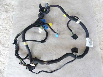 Mercedes Door Latch Lock Wiring Harness, Front Left 2214403913 W221 07-09 S450 S550 S600 S65